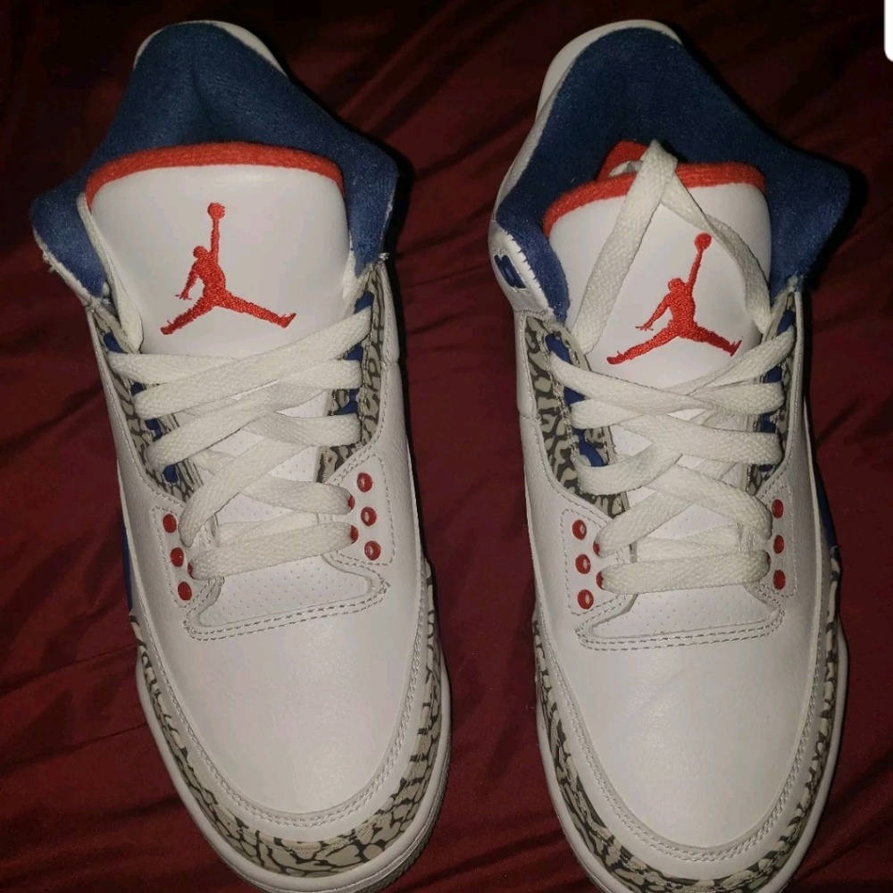 Air Jordan Retro 3 III True Blue Cement Sz 7